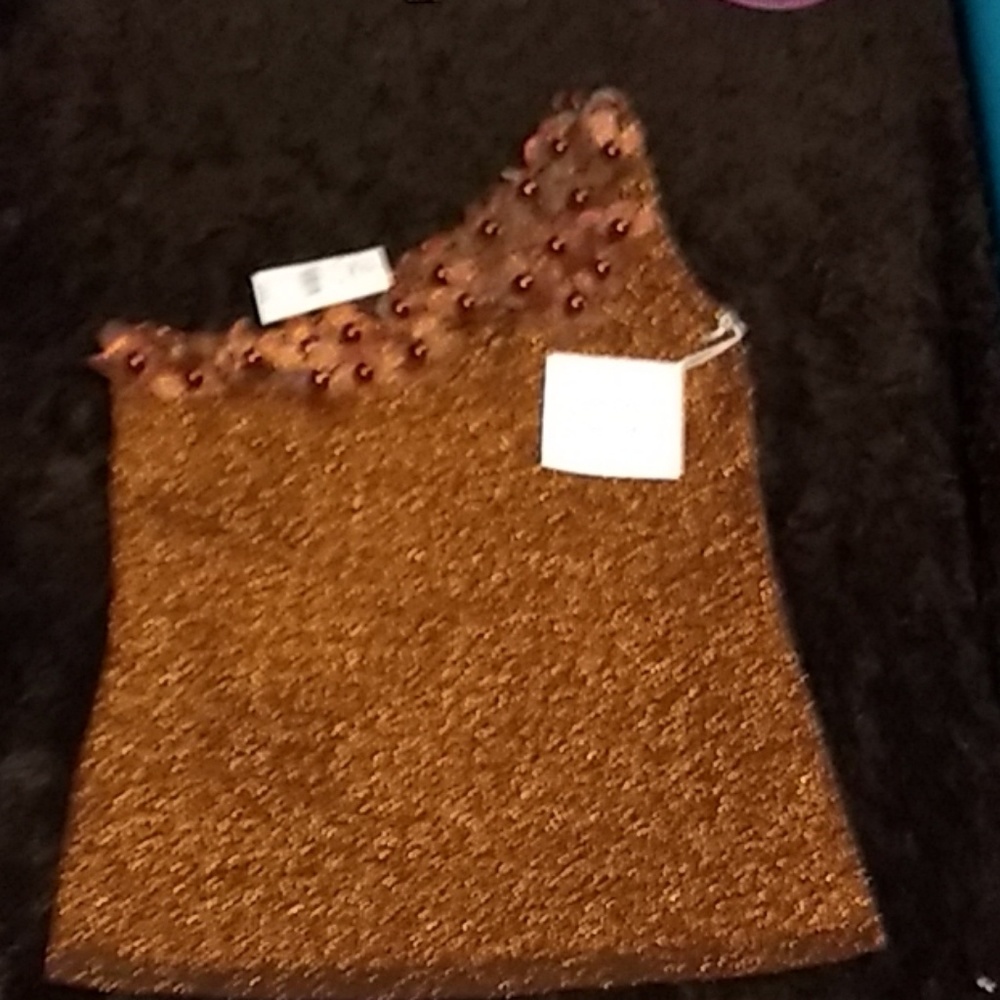 NWT Joseph A. Bronze Glittery Top Size M